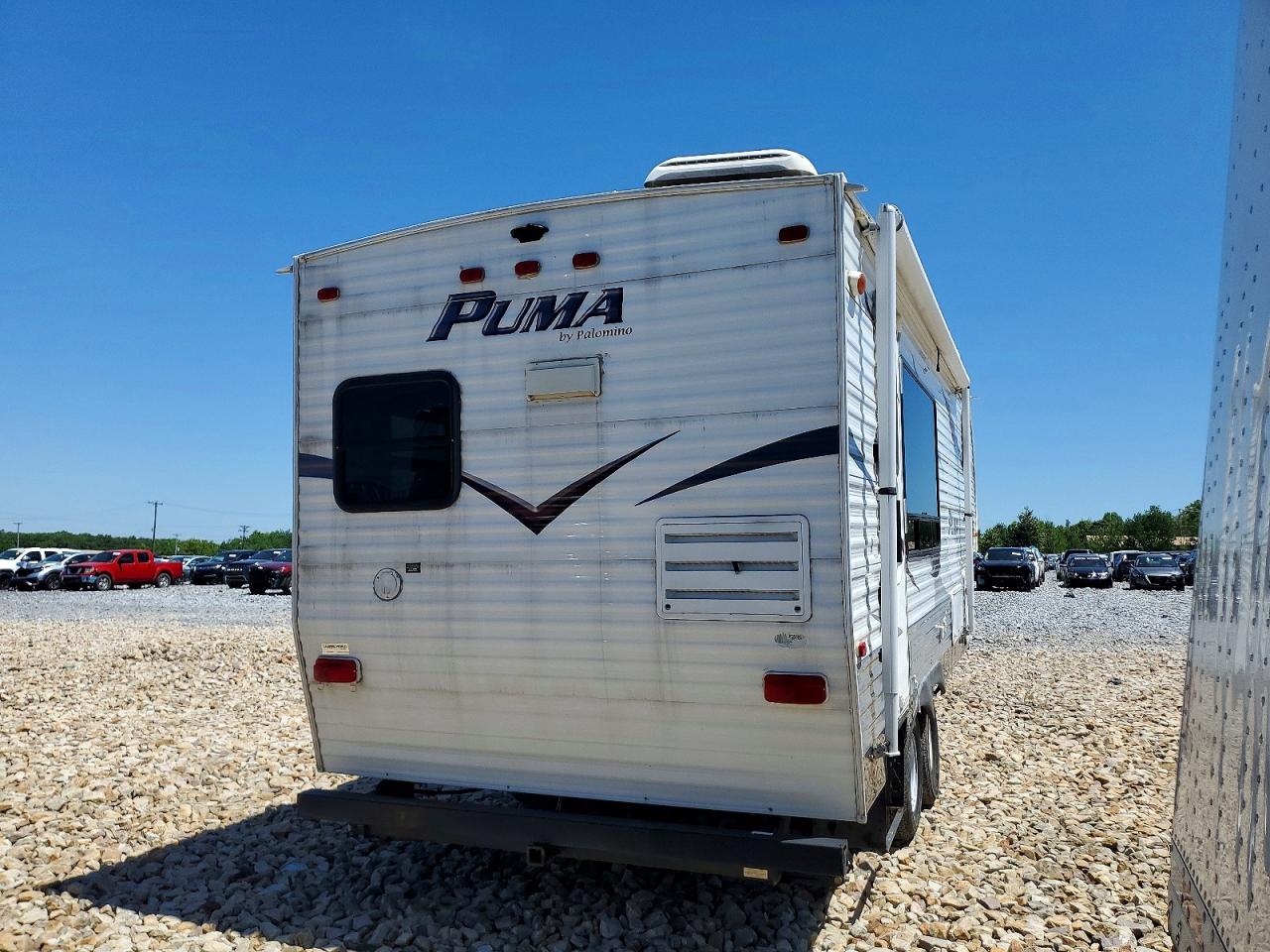 Palomino Puma