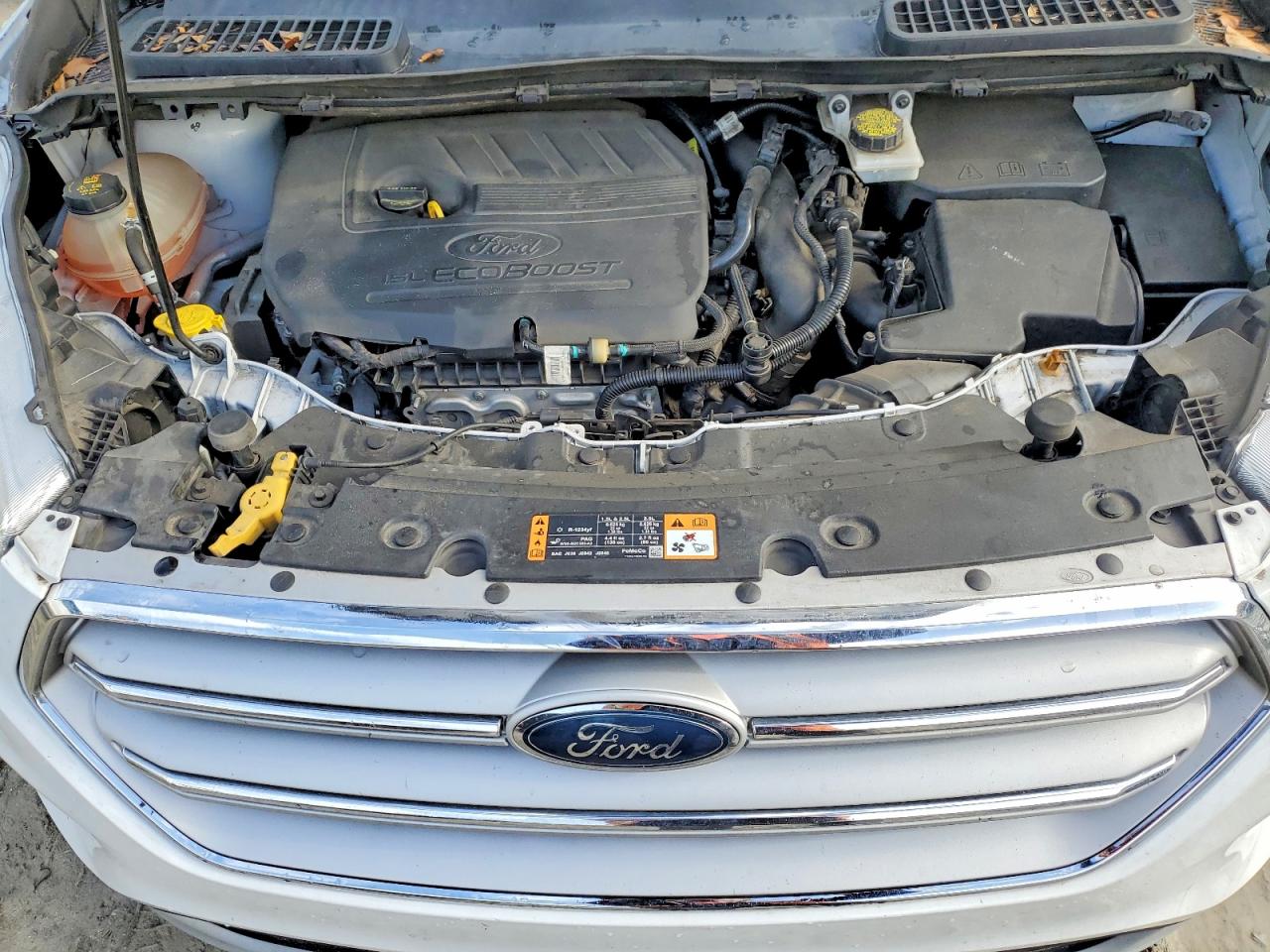 Ford Escape Se