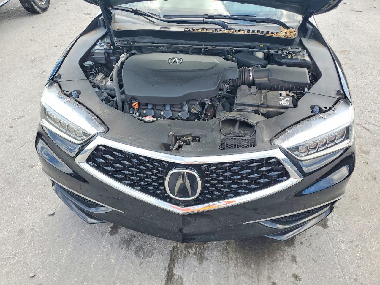 Acura TLX