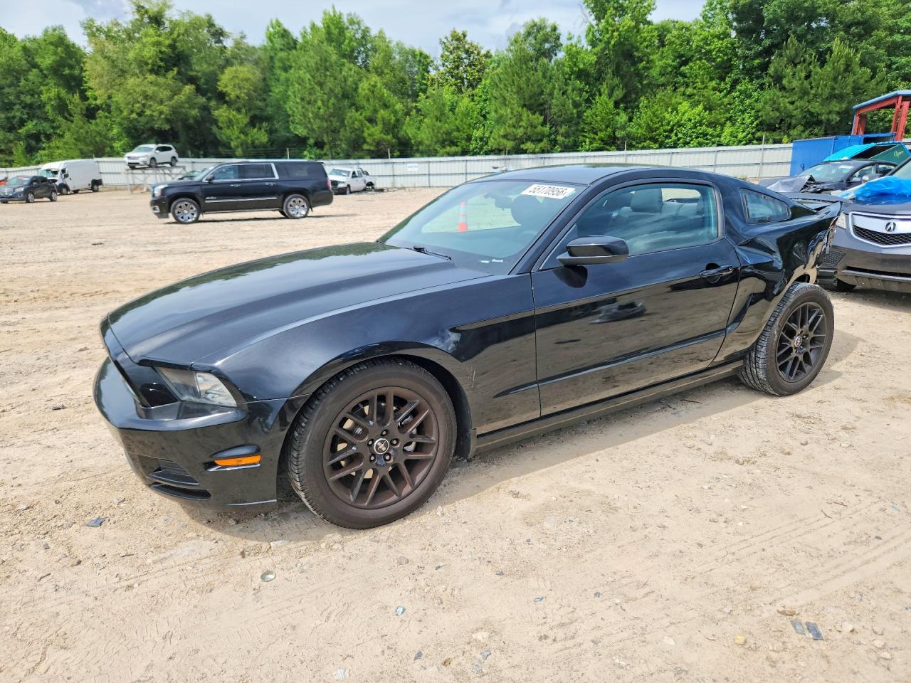 Salvage Ford Mustang Image
