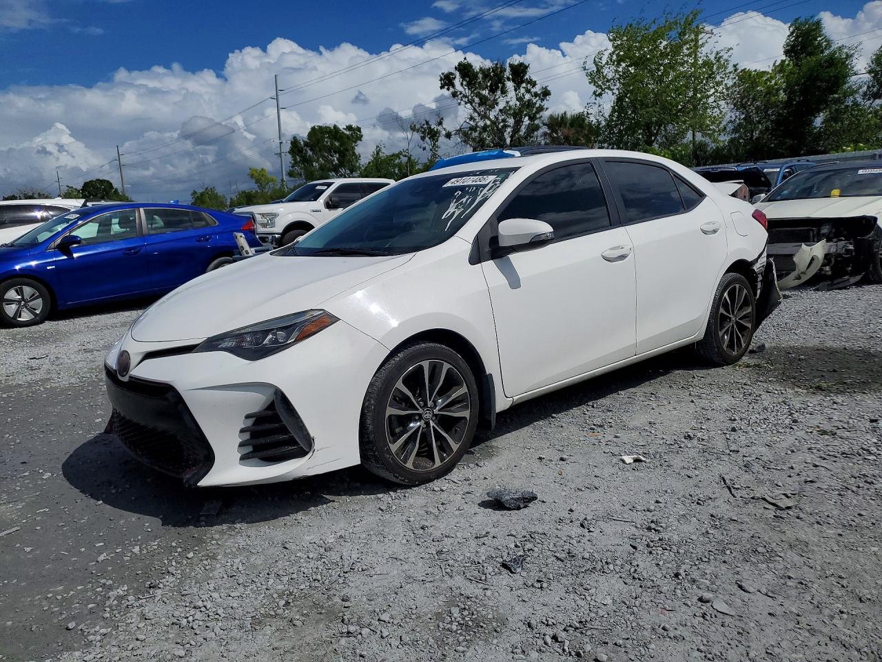 Salvage Toyota Corolla Image