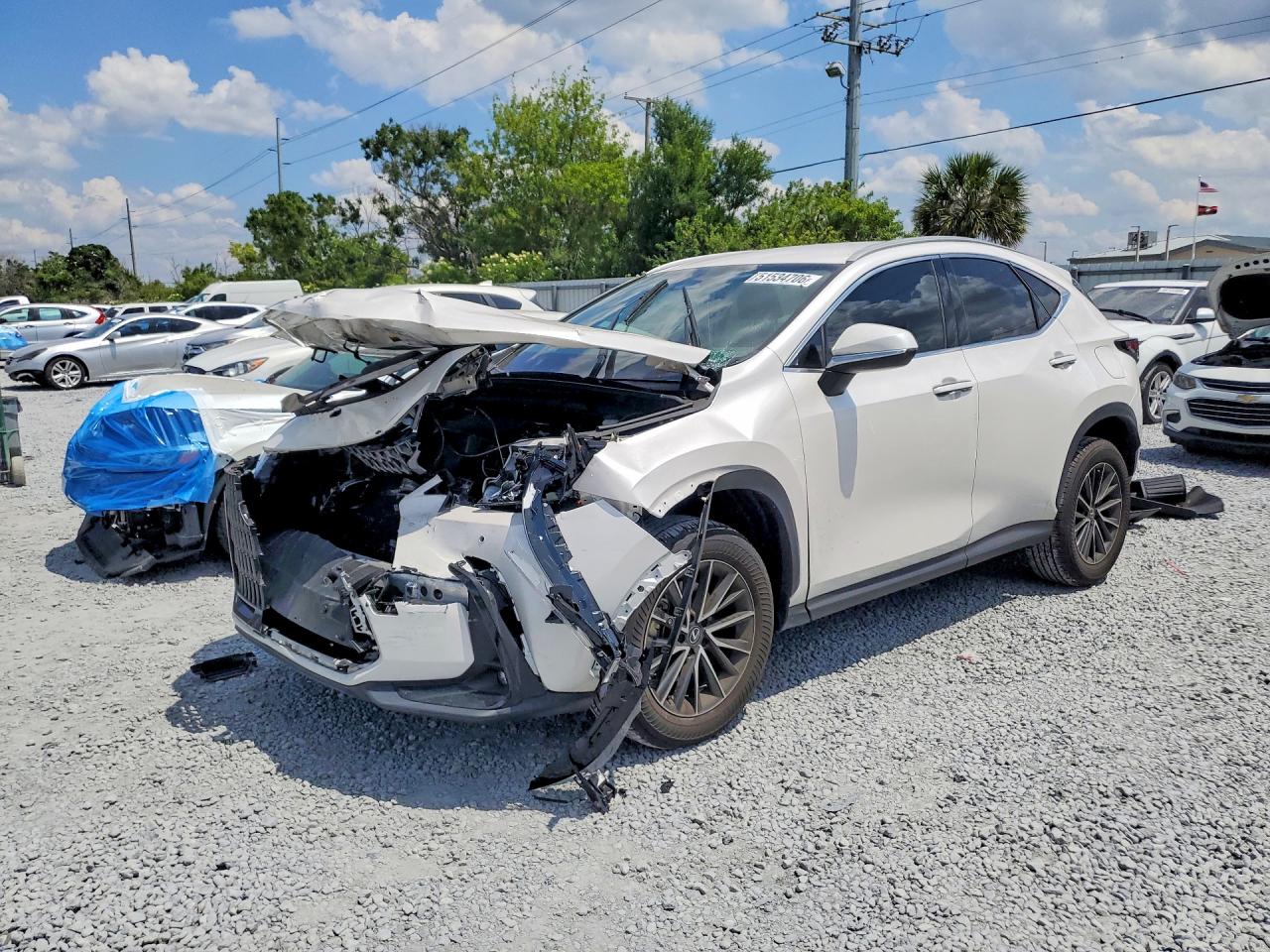 Salvage Lexus NX Image