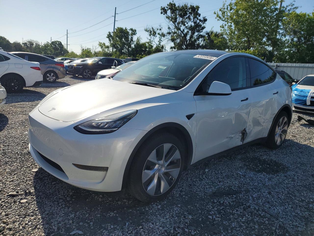 Salvage Tesla Model Y Image