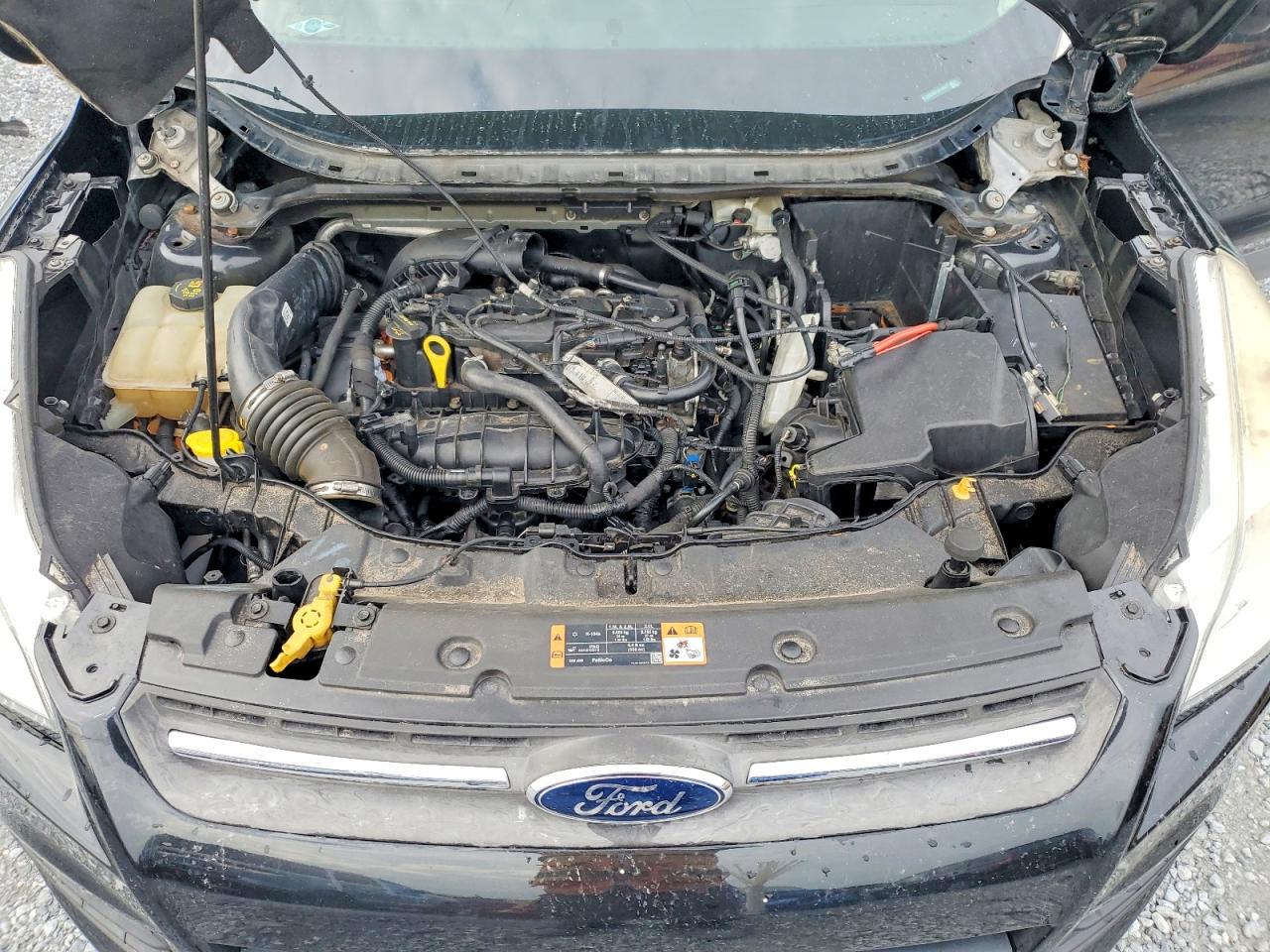 Ford Escape Se
