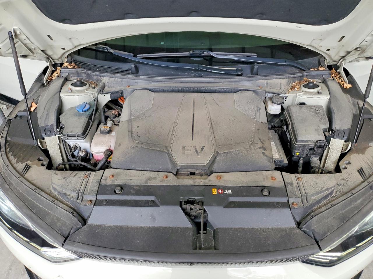 Kia EV6 Wind