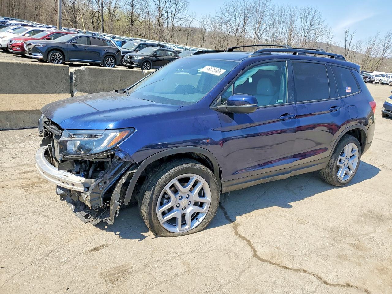 Salvage Honda Passport Image