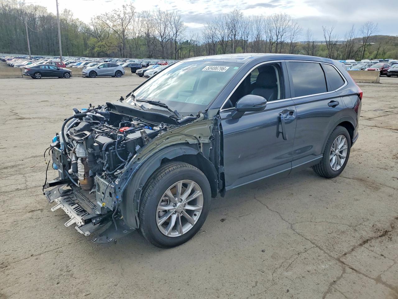 Salvage Honda Crv Image
