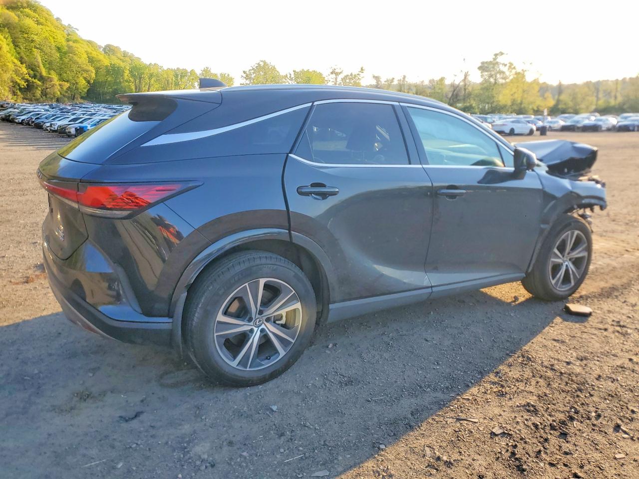 Lexus RX Premium