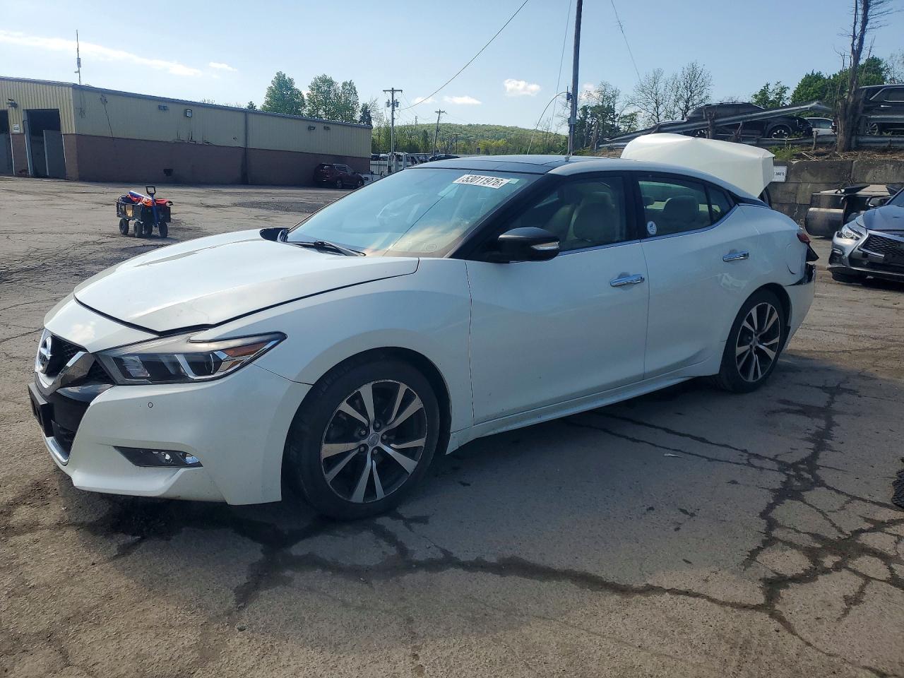 Salvage Nissan Maxima Image