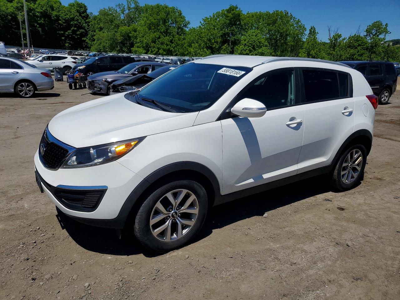 Salvage Kia Sportage Image
