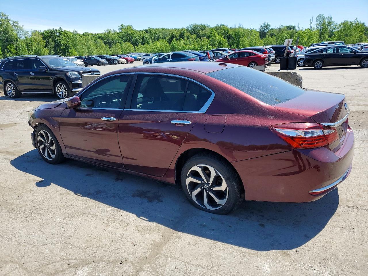 Honda Accord Exl