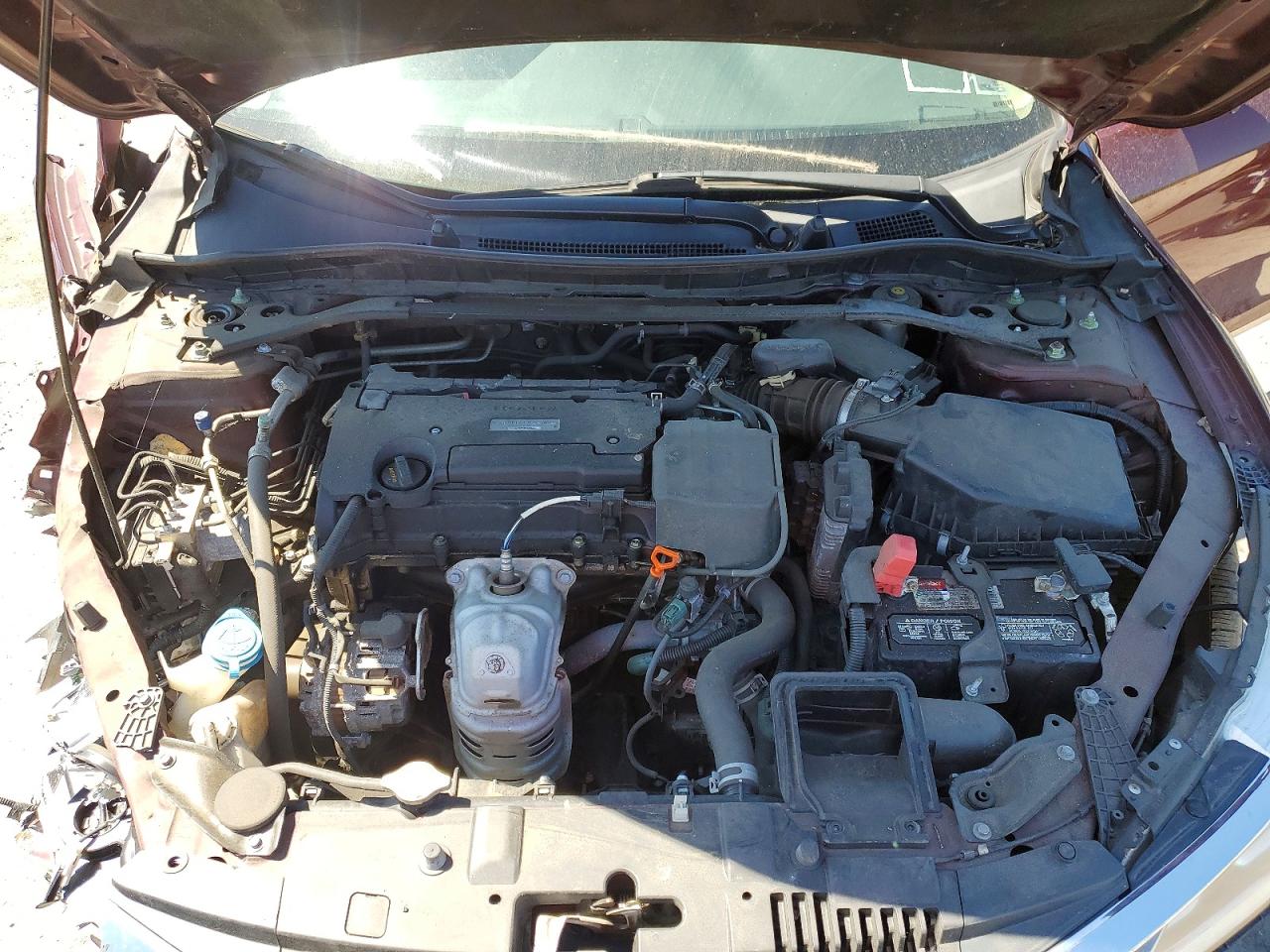 Honda Accord Exl