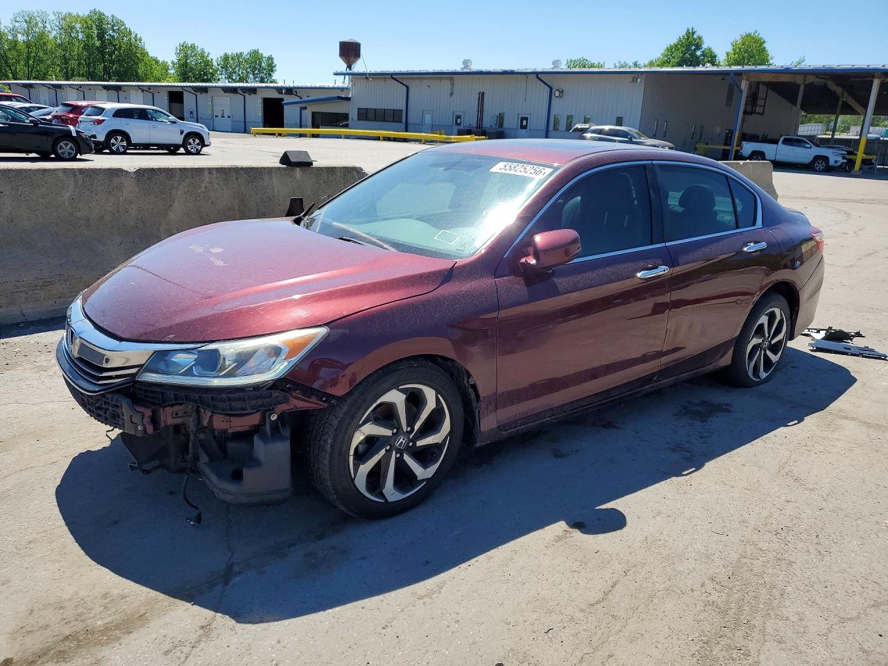 Salvage Honda Accord Image