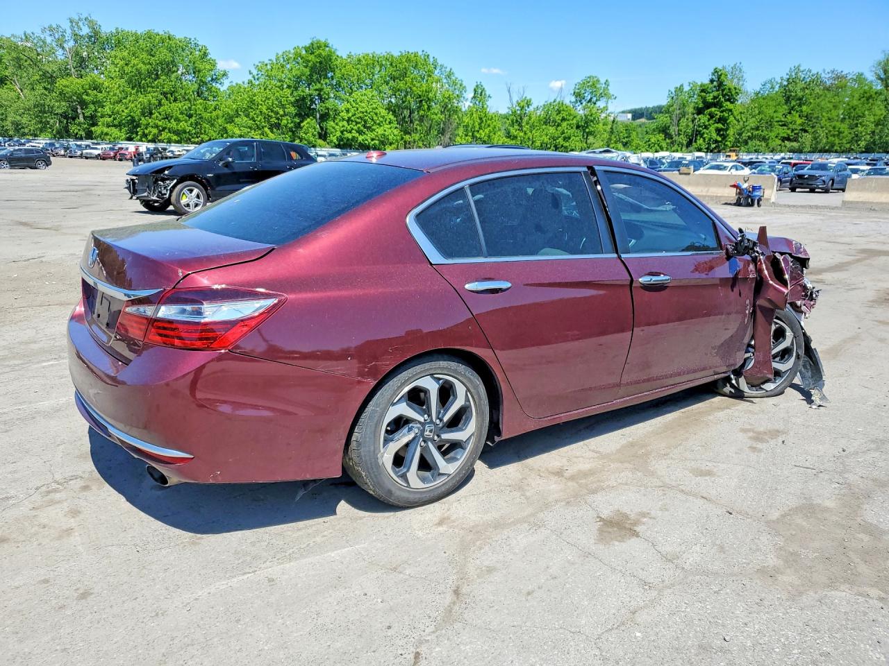Honda Accord Exl