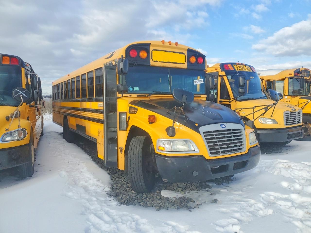 Salvage Blub School Bus Image