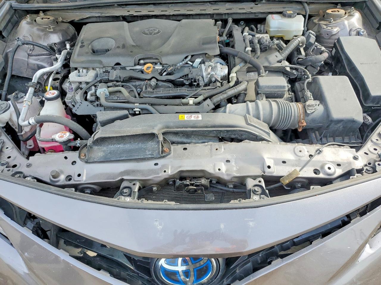 Toyota Camry Xle