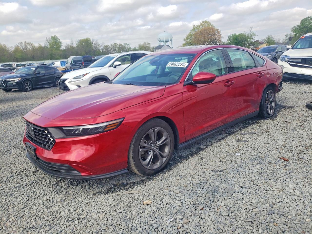 Salvage Honda Accord Image