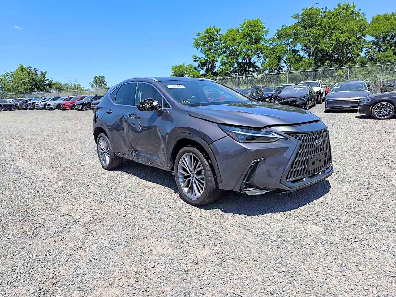 Lexus NX 350 Luxury