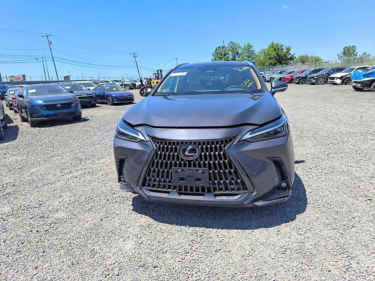 Lexus NX 350 Luxury