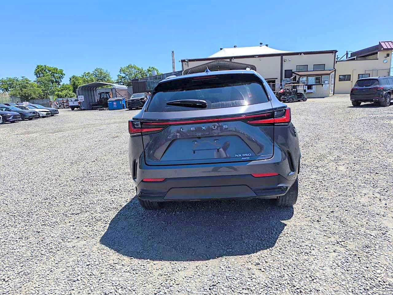 Lexus NX 350 Luxury