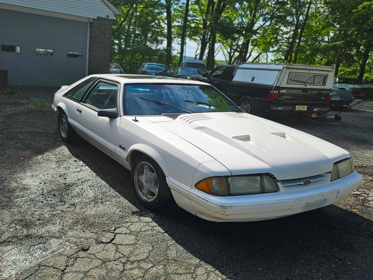 Salvage Ford Mustang Image