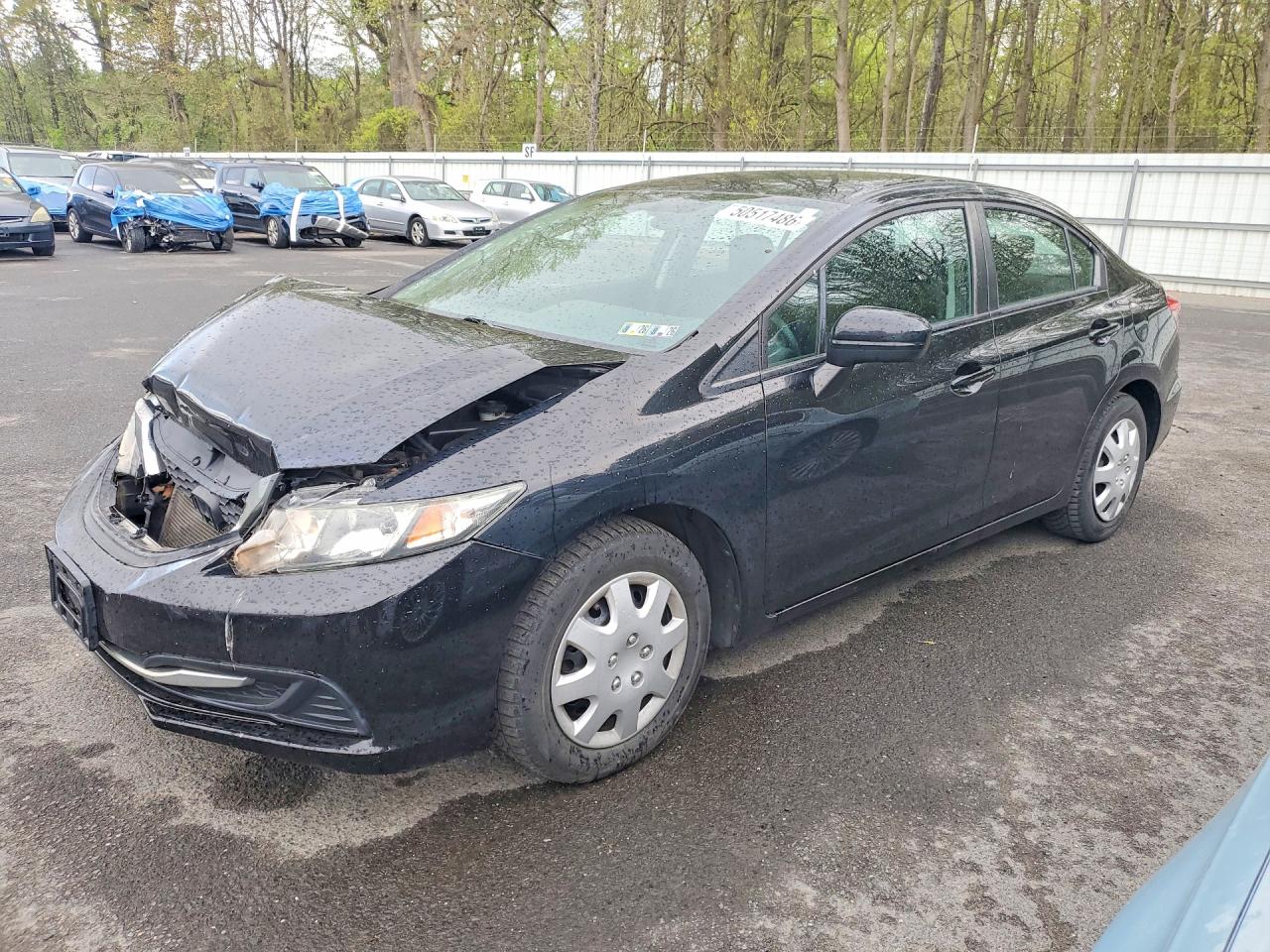 Salvage Honda Civic Image