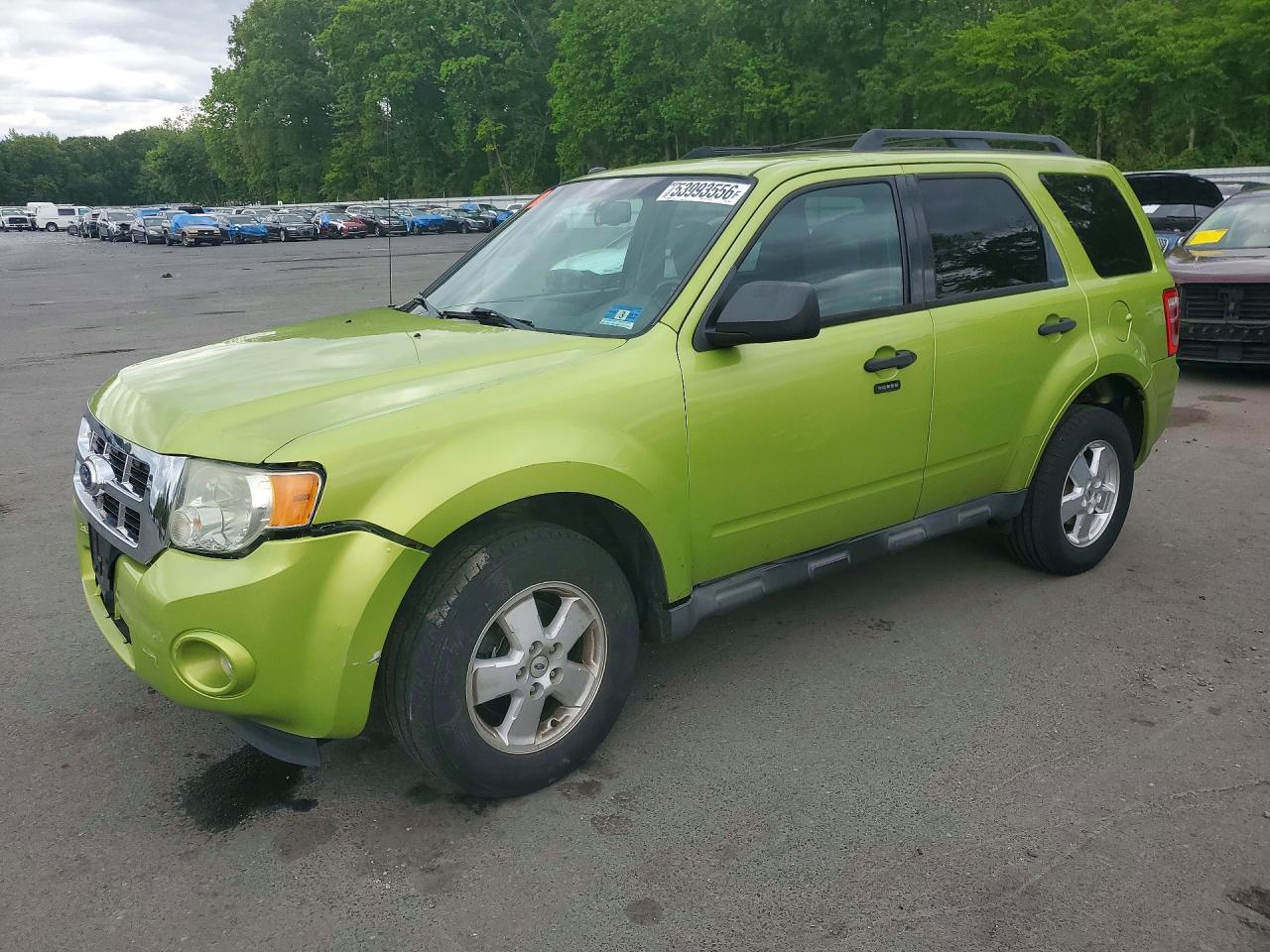 Salvage Ford Escape Image