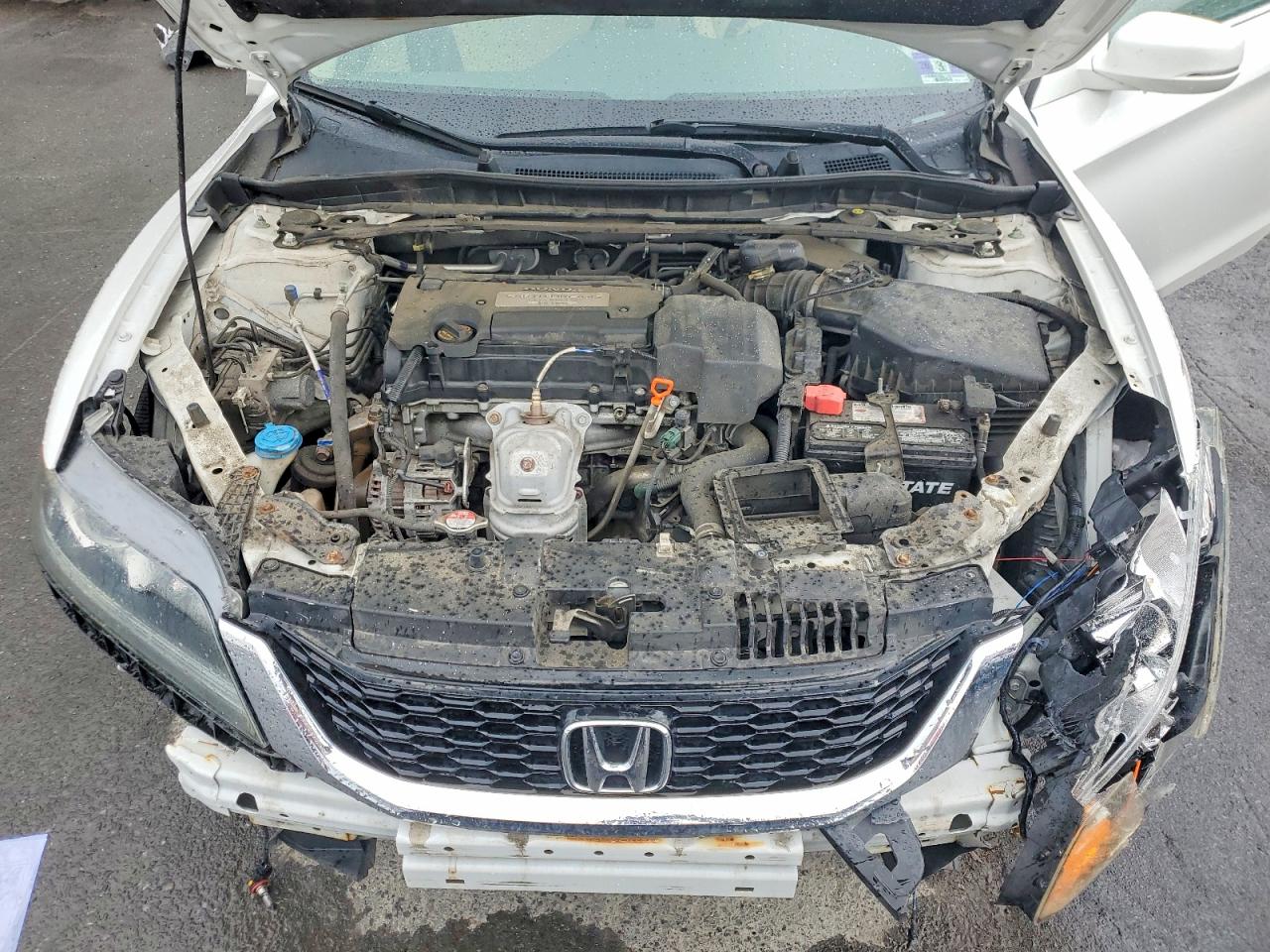 Honda Accord Exl