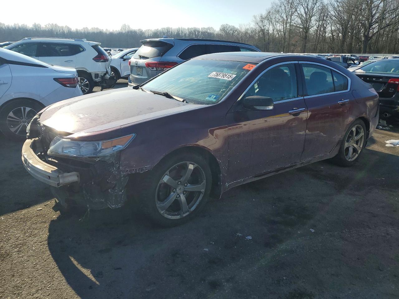 Salvage Acura TL Image
