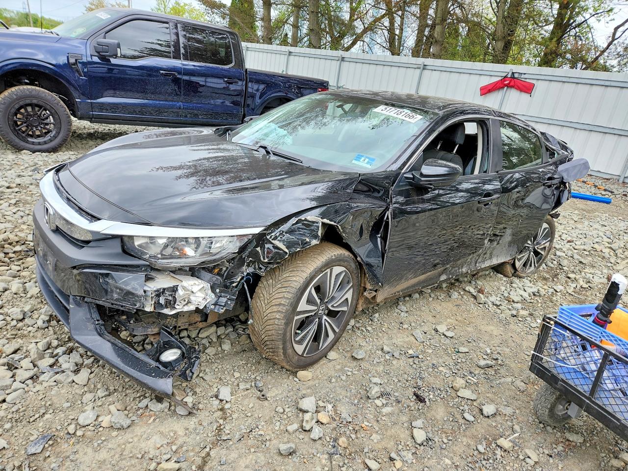 Salvage Honda Civic Image