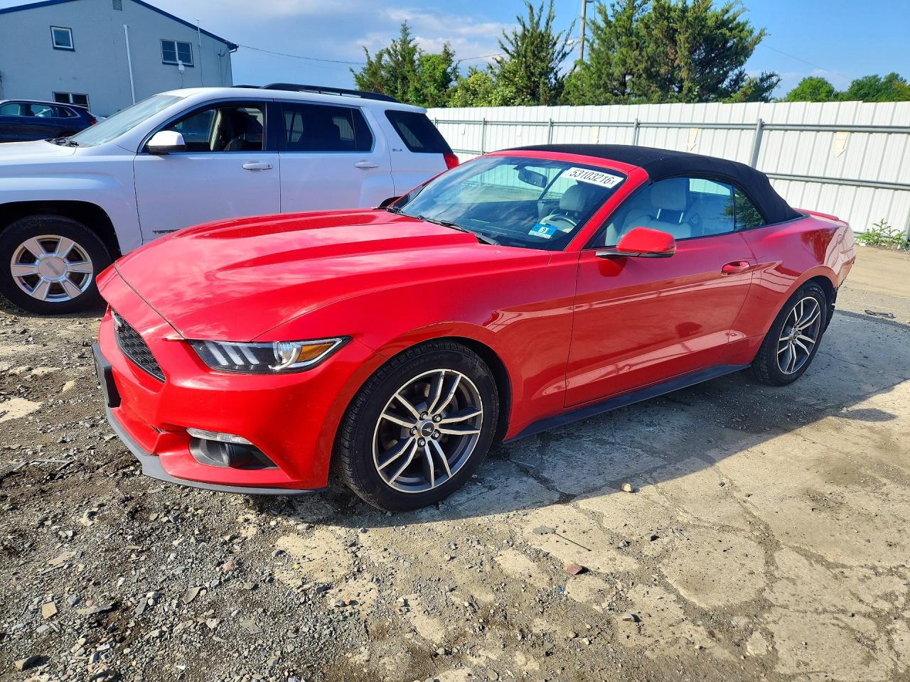 Salvage Ford Mustang Image