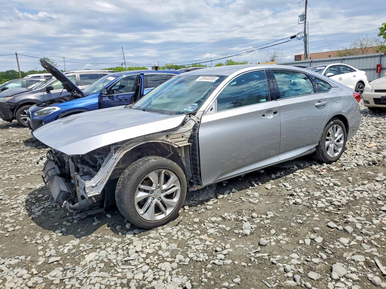 Salvage Honda Accord Image