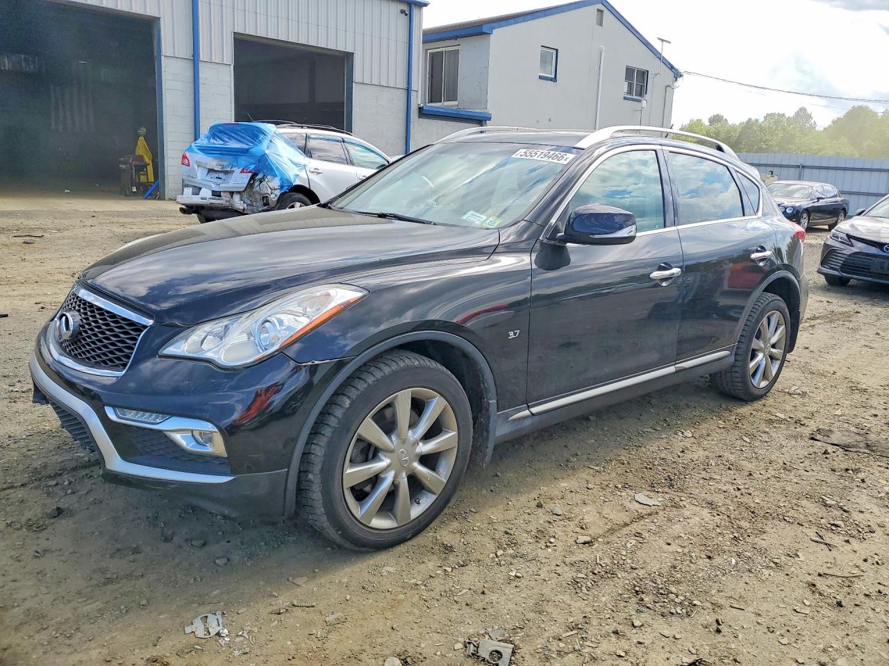 Salvage INFINITI Qx Image