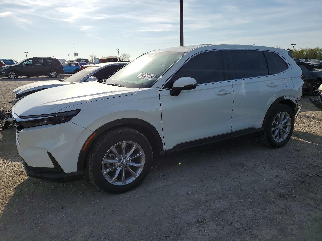 Salvage Honda Crv Image