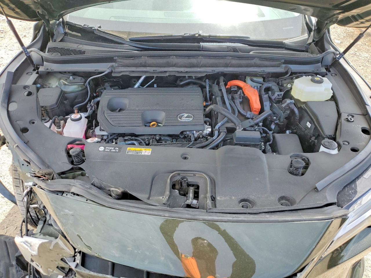 Lexus Other Premium+