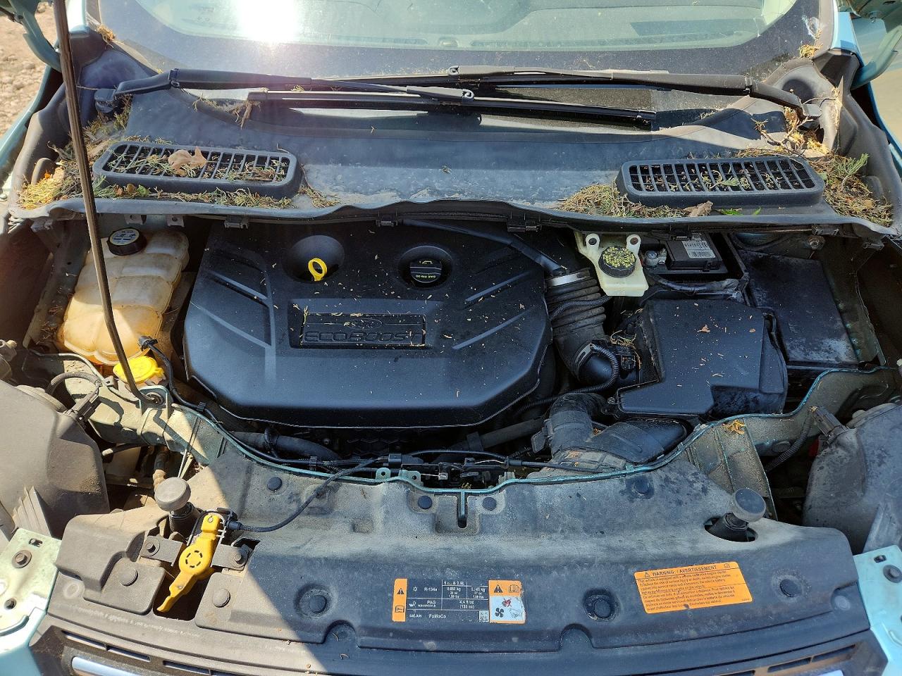 Ford Escape Se