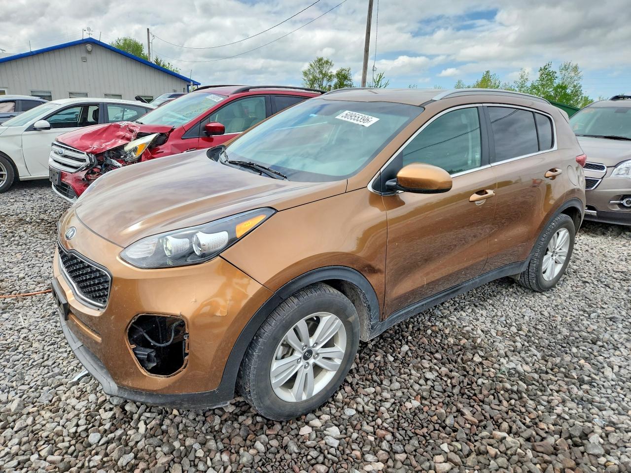 Salvage Kia Sportage Image