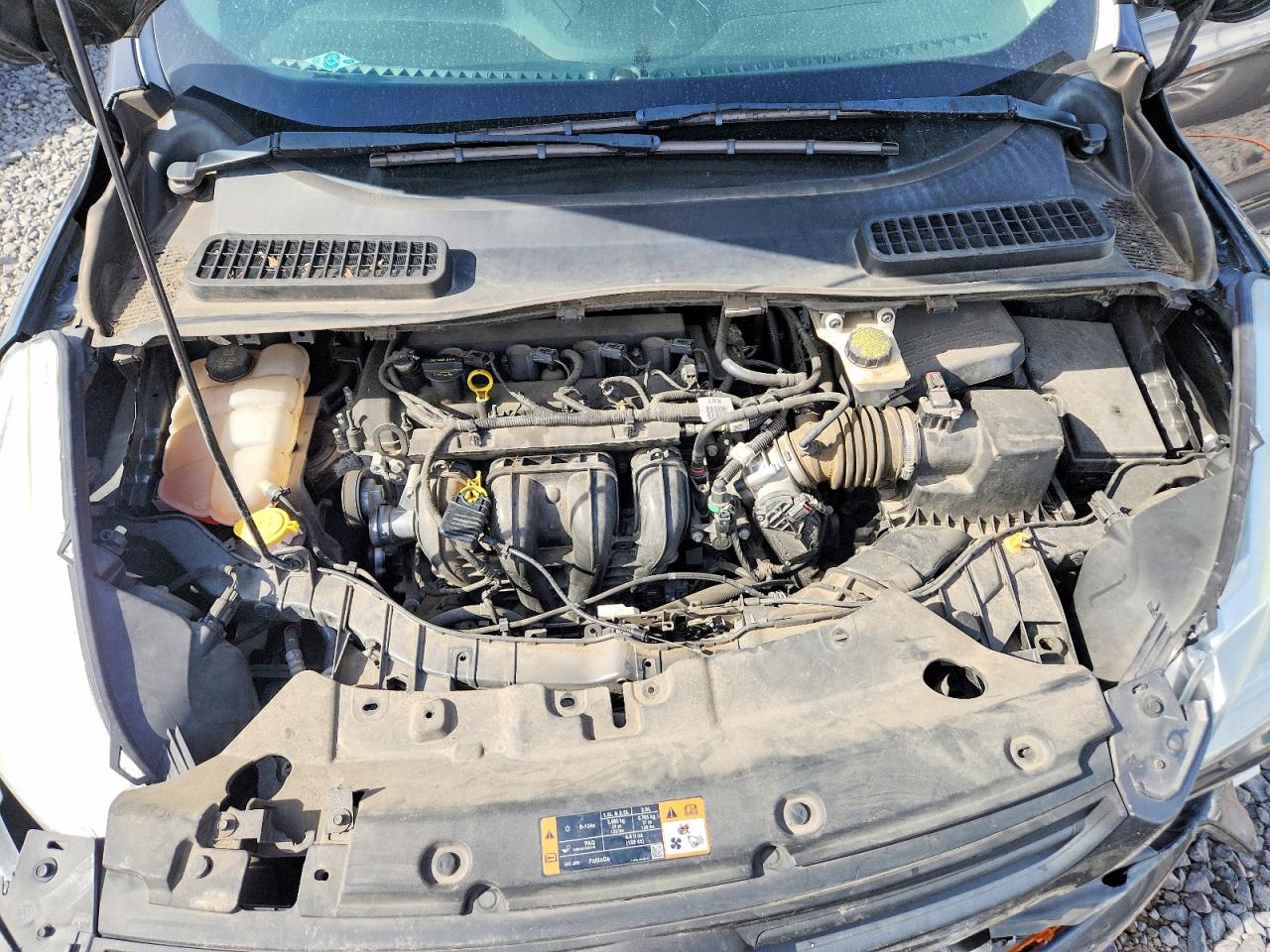 Ford Escape S