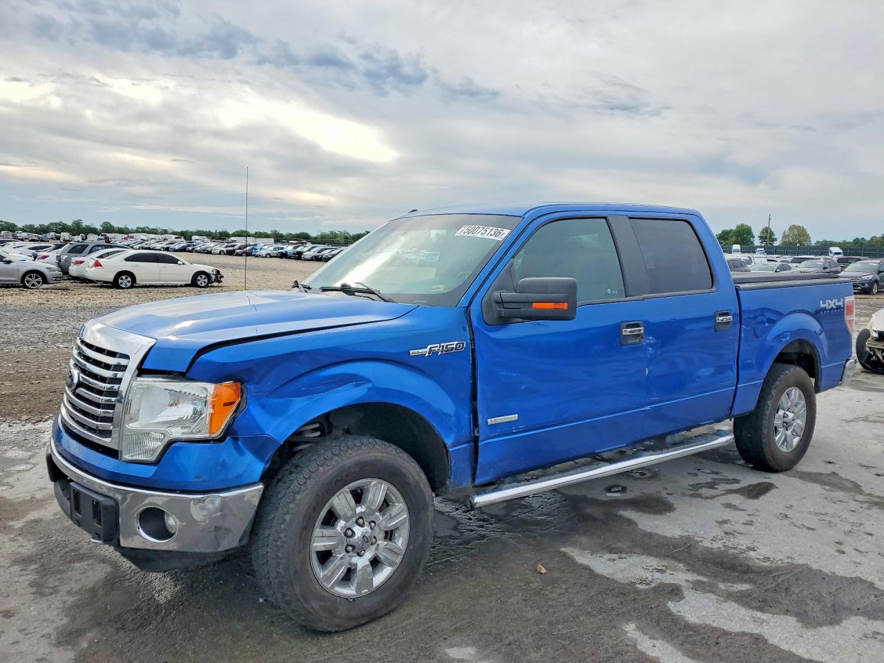 Salvage Ford F-150 Image