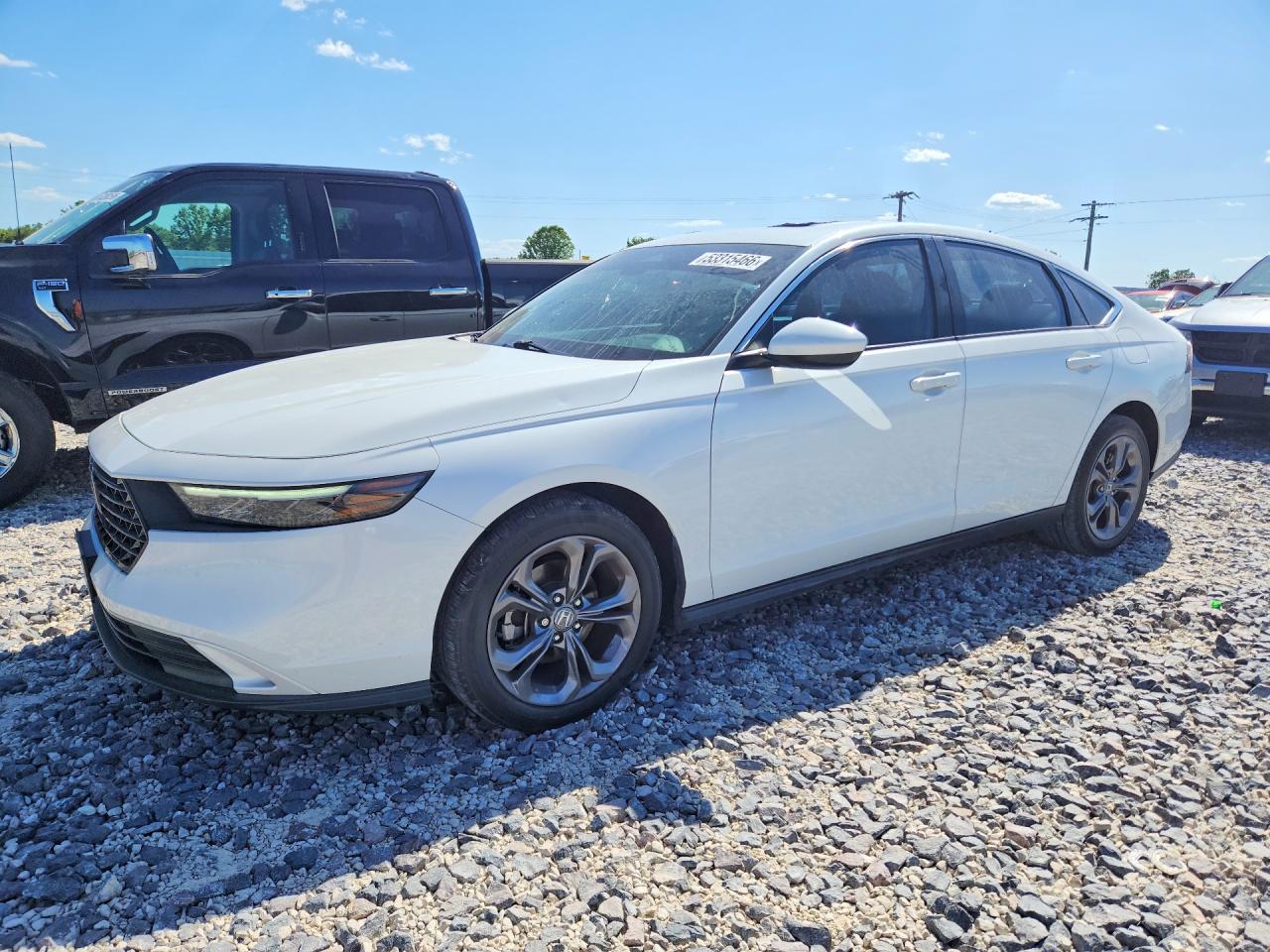 Salvage Honda Accord Image