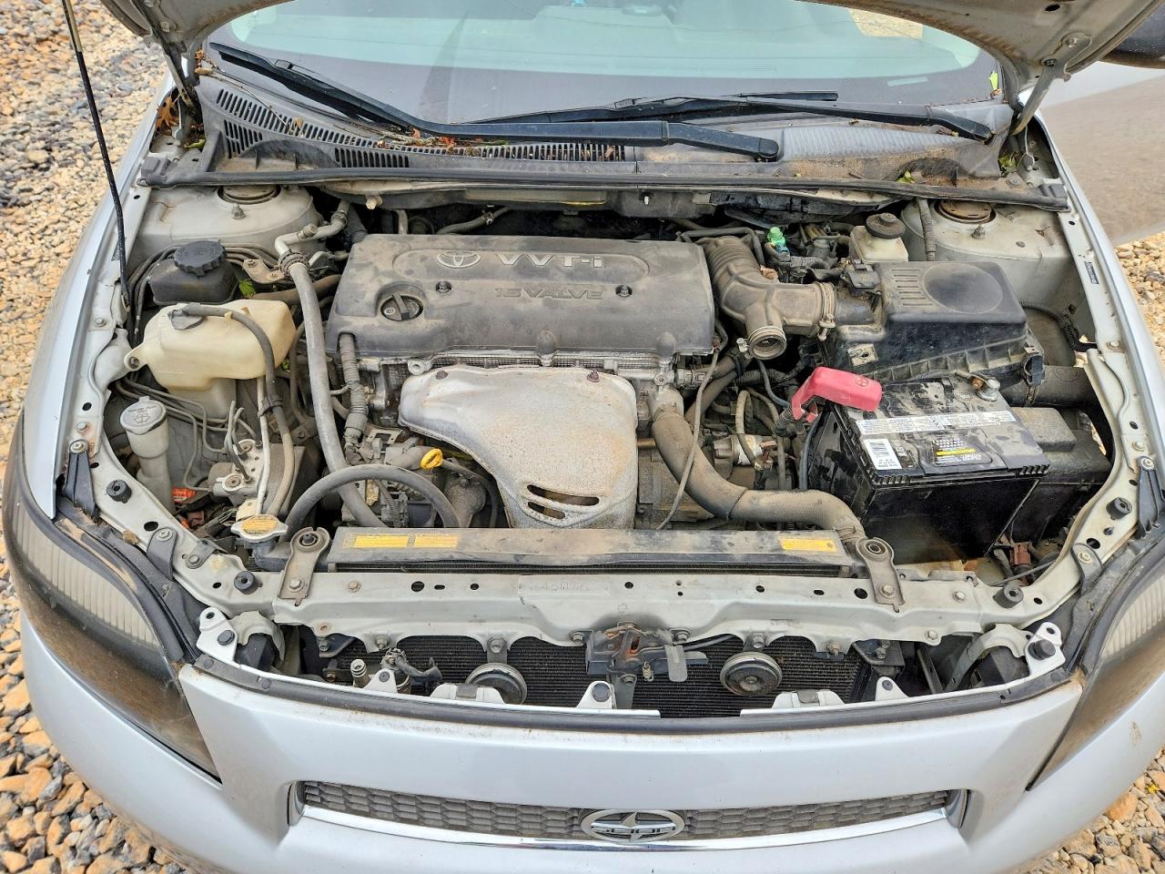 Scion TC Base