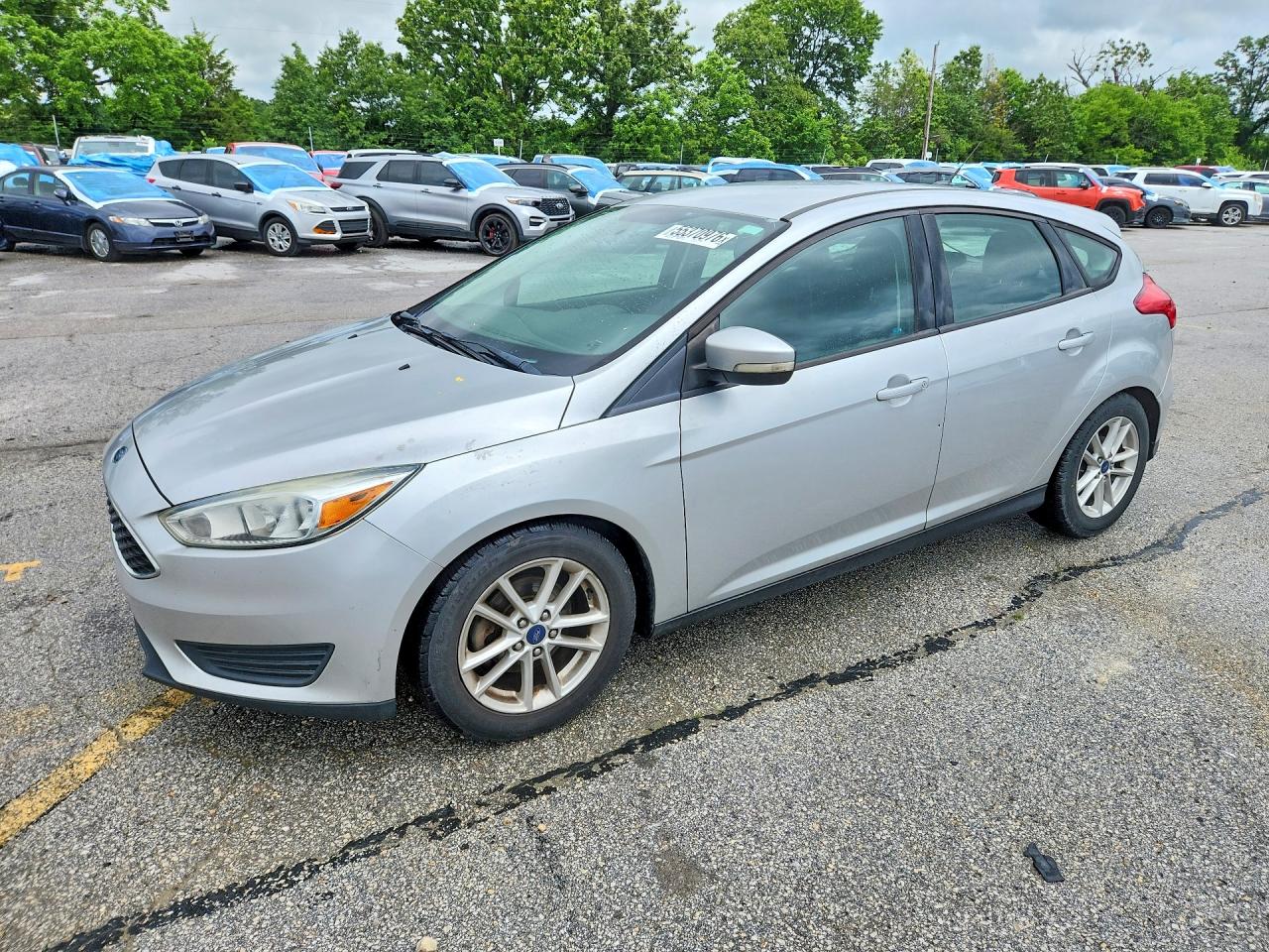 Salvage Ford Focus Image