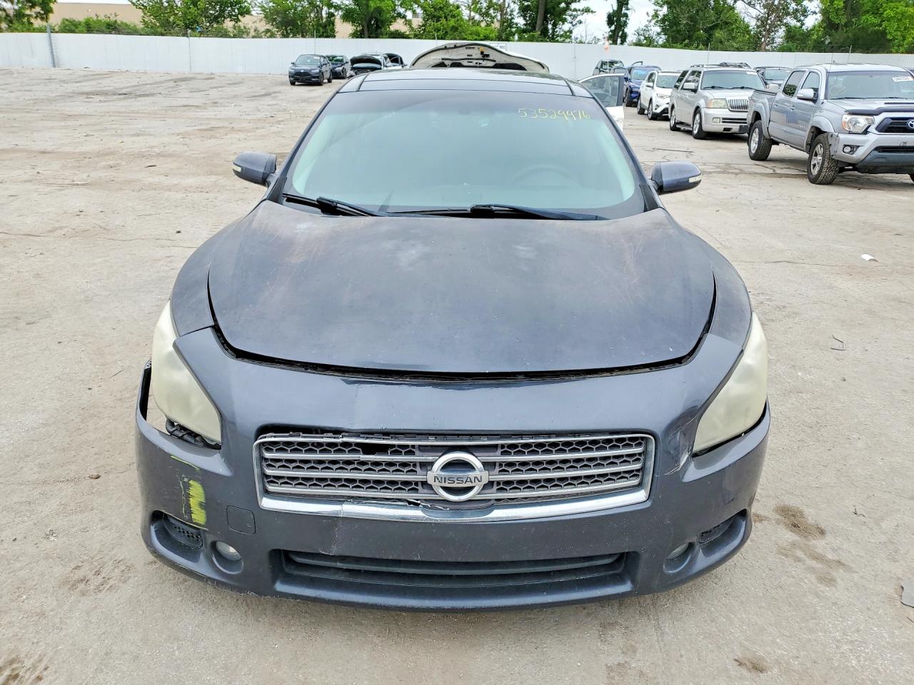 Nissan Maxima 3.5 S