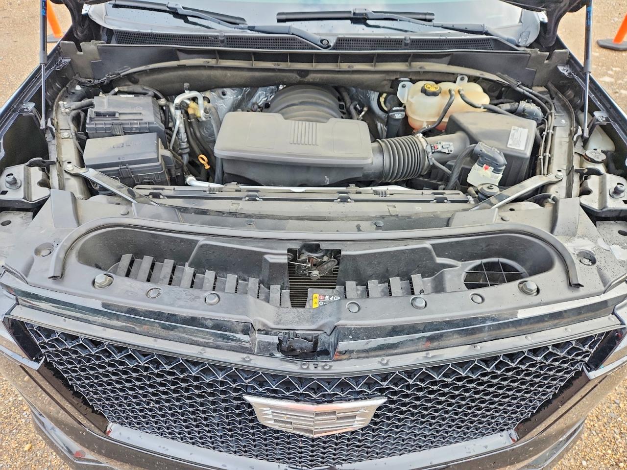 Cadillac Escalade Sport Platinum