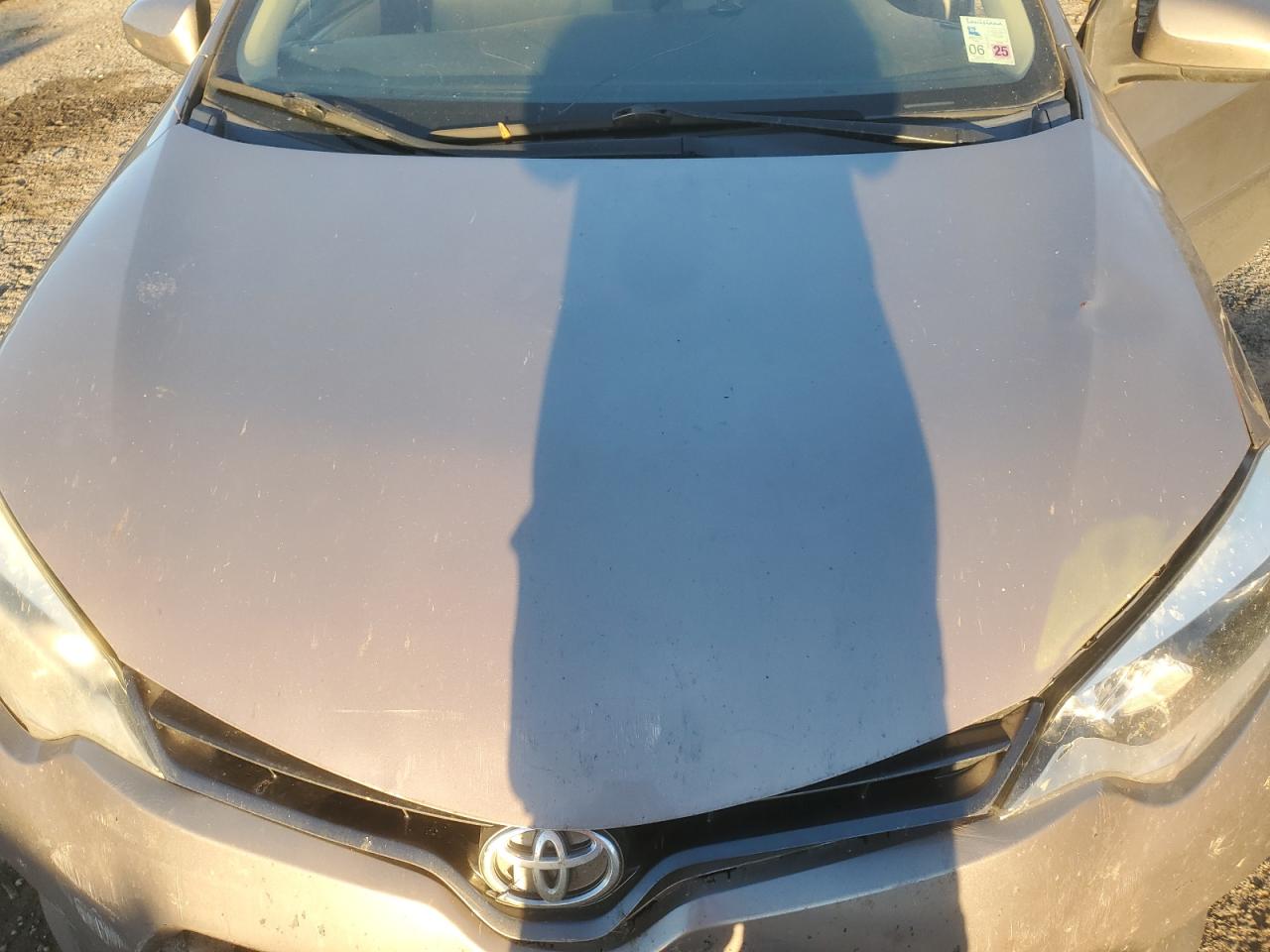 Toyota Corolla Eco