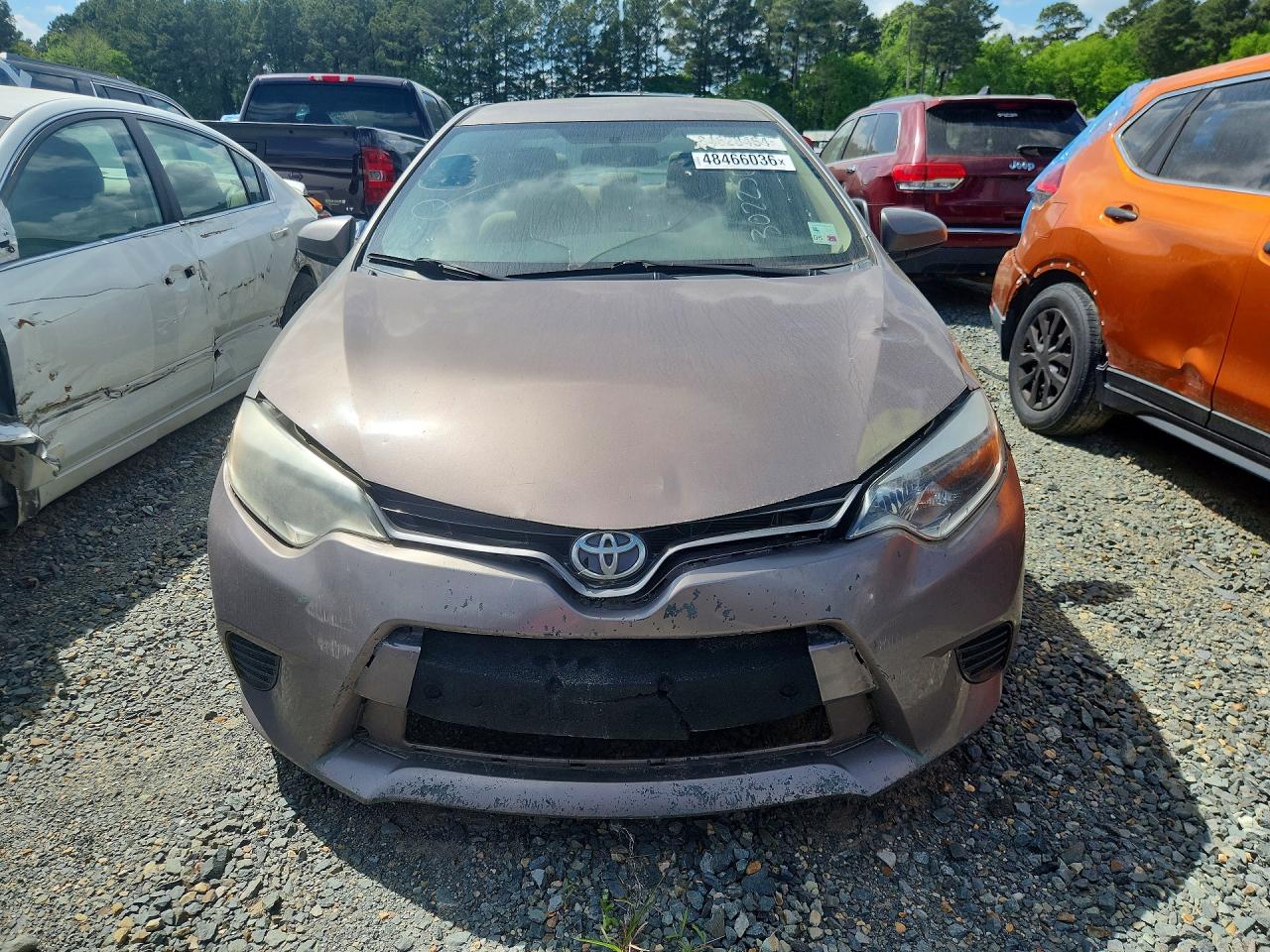 Toyota Corolla Eco