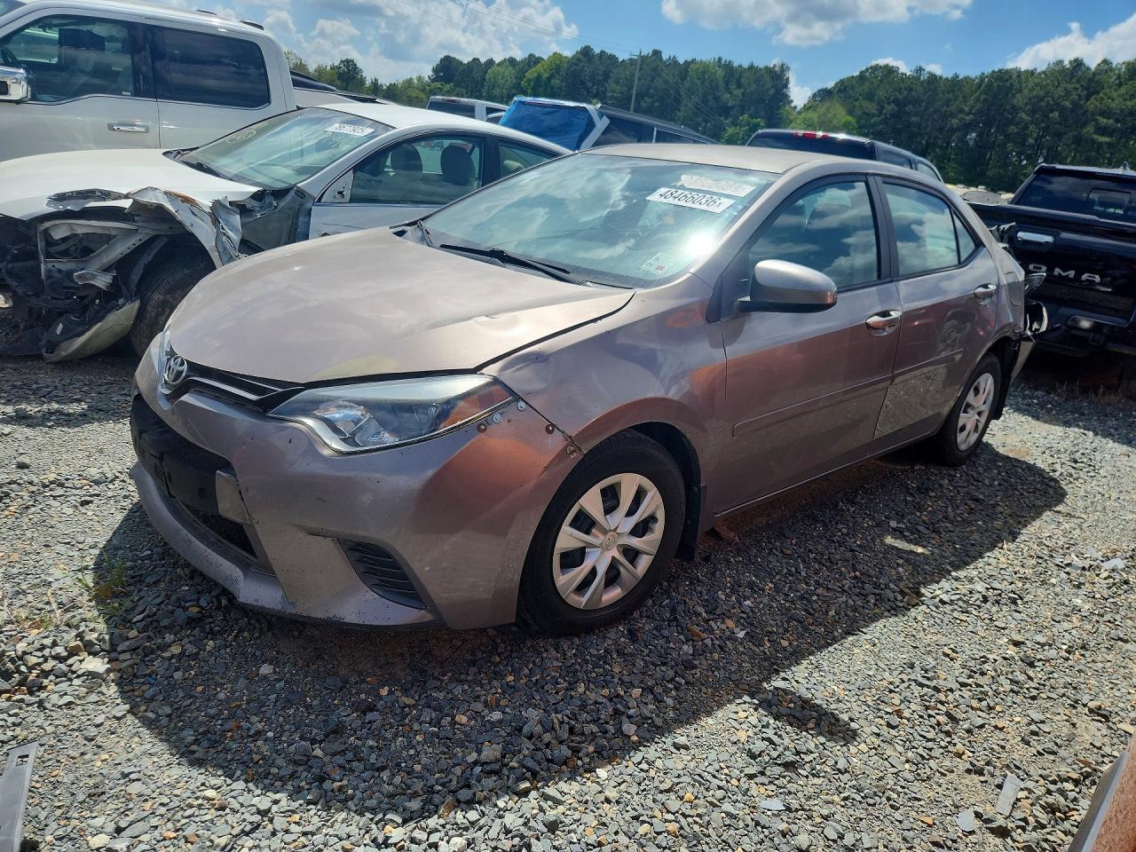 Salvage Toyota Corolla Image