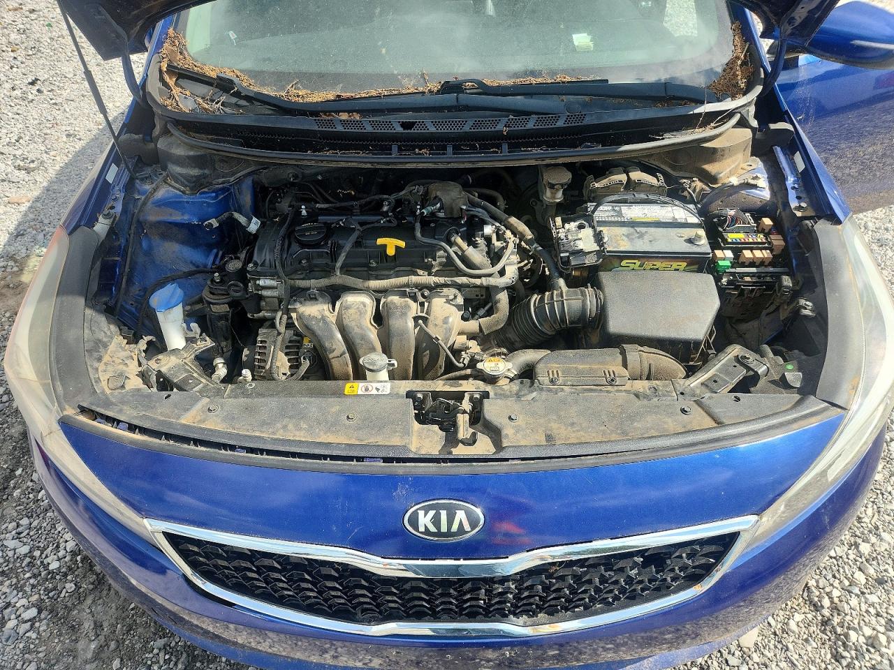 Kia Forte Ex