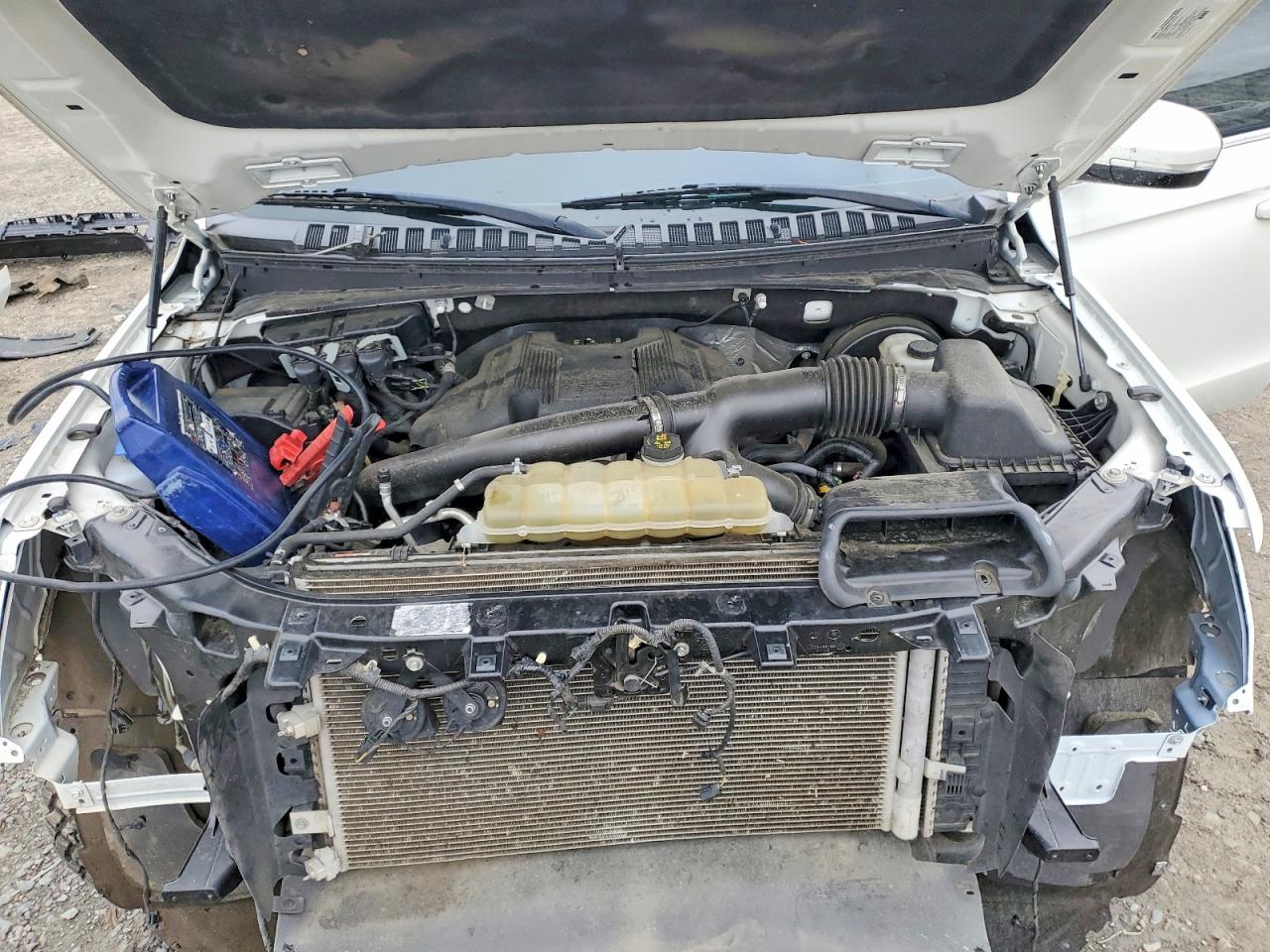 Ford Expedition Xlt