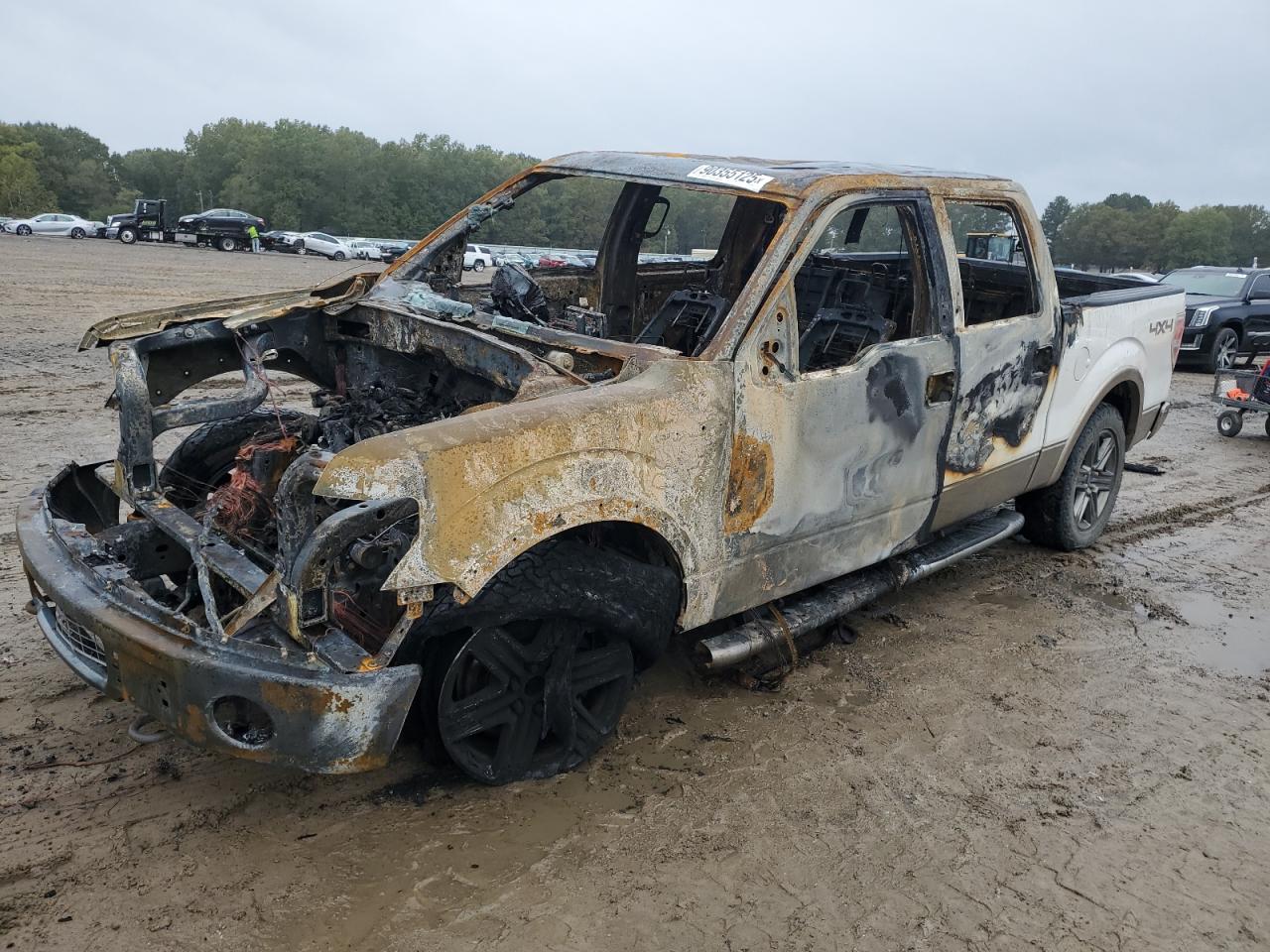 Salvage Ford F-150 Image